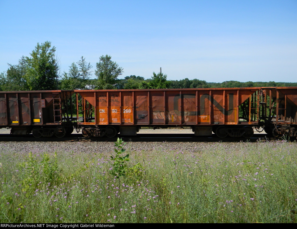 CN 90286 is new to RRPA!